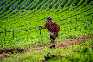 BIB: 
                            <button type="button" onclick="openModal(19162601)" class="btn btn-primary btn-sm float-right btn-popup" data-toggle="modal" data-target=".modal-high-quality">
                        <i class="fas fa-shopping-cart"></i> Add to Cart
                    </button>
                                            <button type="button" onclick="isThisMe(19162601, true)" class="btn btn-success btn-sm float-right btn-popup btn-isme hidden" data-toggle="tooltip" data-placement="bottom" title="นี่คือรูปของคุณใช่ไหม คลิกที่นี่เพื่อเอาเข้าอัลบั้ม">
                        <i class="fas fa-plus"></i> Add to album
                    </button>
                    <button type="button" onclick="isThisMe(19162601, false)" class="btn btn-warning btn-sm float-right btn-popup btn-isnotme hidden">
                        <i class="fas fa-ban"></i> Remove from album
                    </button>